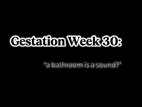 “ASMR” “Roleplay”: You and Your Sibling Consider the Word Bathroom on the 30th Week of Gestation