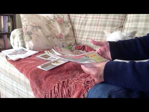 ASMR sorting through mail - paper sounds, some page turning