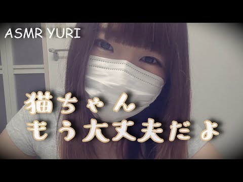 【ASMR】雨に濡れた子猫を洗ってあげるロールプレイ【音フェチ】Role play washing a kitten