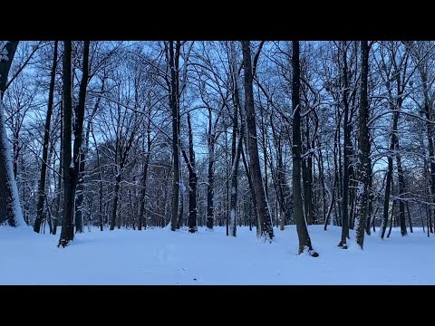 ASMR walking in snow ❄️