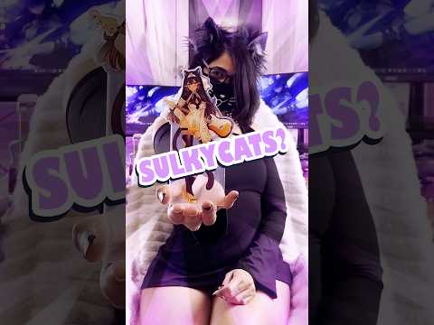 Sulkycats Vtuber Merch