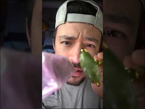 🧠 ASMR GUARANTEED to Tickle your Brain ⚡️