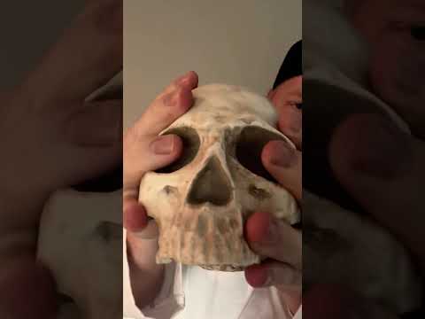 ASMR Rock Massage #asmr