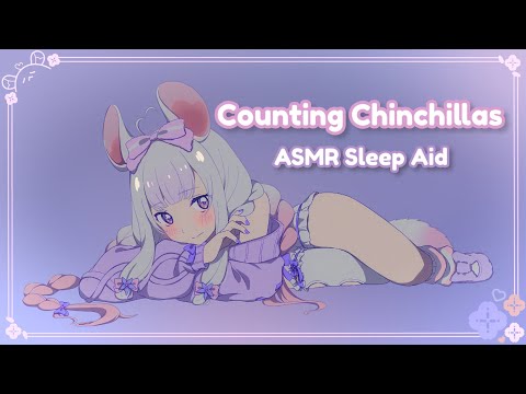 [ASMR Sleep Aid] Counting Chinchillas to help you sleep [light talking] [F4A] [binaural]