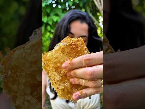 COMENDO PÓLEN COM FAVO, uma delícia 🤤 #honeycomb #asmreating