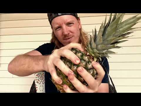ASMR | Giving a Pineapple a Massage 🍍