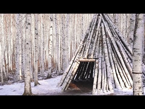 ASMR Walking in the Winter Birch Forest🍂 듣다보면 힐링되는 자작나무 숲 걷는 소리
