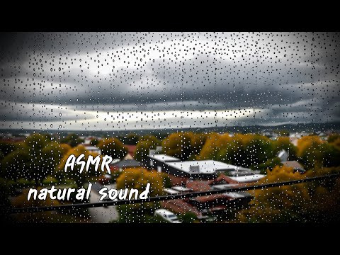 ASMR 더워서 만든 빗소리와 풀벌레 소리 [natural sound]
