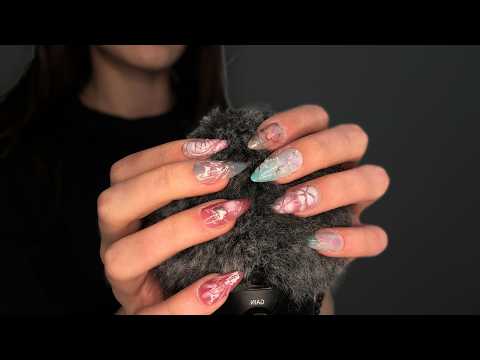 1 Hour Fluffy Scalp Scratches + Massage (No Talking) [ASMR]