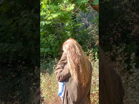 Farm food #farming #ForYou #TrendingNow #InstaReels #ViralVideo #DailyShorts #Entertainment #FYP