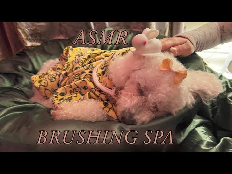 Brushing Spa Asmr
