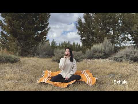 10 Minute Guided Breathing Meditation