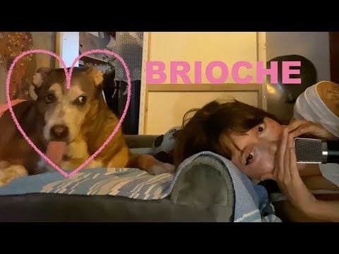 ASMR dove sono stata? con BRIO!!!! vi racconto un po' di cose....❤️‍🩹