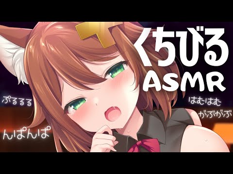 【ASMR】くちびるの音/んぱんぱ/はむはむ/がぶがぶ/ぷるるる/眠れる癒し