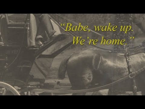Driving You Home [boyfriend roleplay] [ASMR] [sleep aid] [driving] [romantic] [cozy]
