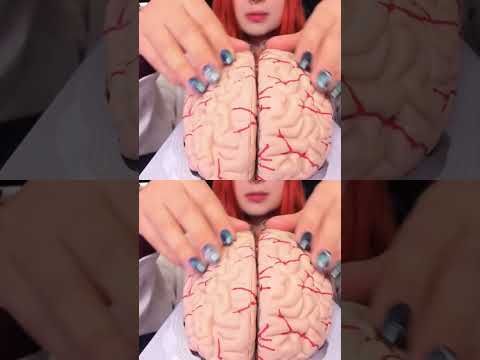 ASMR 🧠 BRAIN TINGLES... Literally! Sleep & Relaxation #asmr #shorts