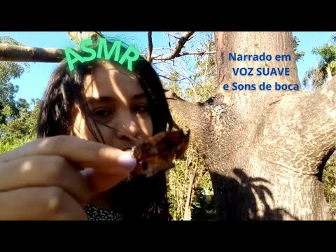 ASMR VENHA COMIGO PARA UM LUGAR DE MUITA PAZ CHEIO DE NATUREZA (Narrado em voz suave e sons de boca)