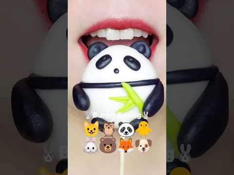 Cute Animal Wagashi 😺🦉🐼🐥🐰🐻🦊🐶 EMOJI MUKBANG 동물 화과자 이모지 먹방 (sped up)