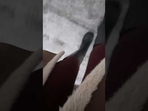 ASMR morgens um sieben auf einem extrem rutschigen Weg. 🥹
