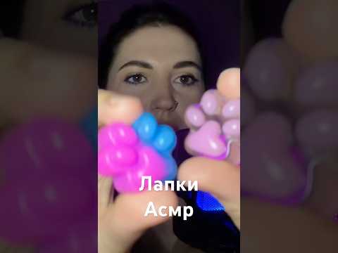 Асмр лапки🐾повне відео на каналі🥰 #асмр #asmr #paw #лапки