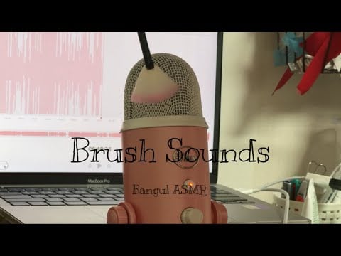 [ASMR] (No Talking) 🩷Blue Yeti & Brushes👍🏻 | 블루예티에 브러쉬로 거친 소리내기