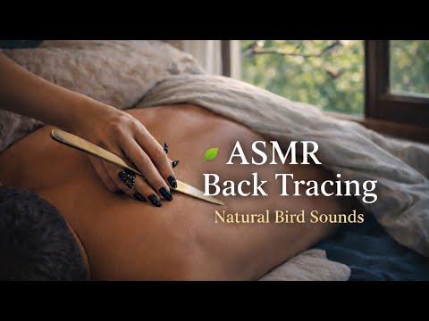 ASMR Back Tracing 🌿 Real Bird Sounds from outside