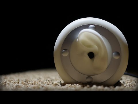 [ASMR] Binaural Carpet Drumming (No Talking)