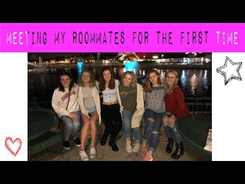 meeting my dcp roommates for the first time // dcp spring 2019