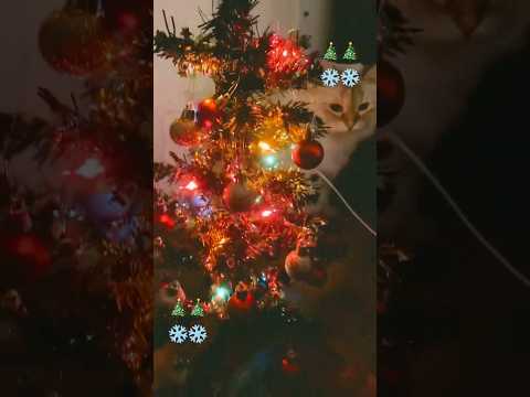 Dollar tree Christmas tree #christmas #lastchristmas #merrychristmas #christmassongs #christmastree