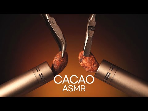 ASMR Cacao Beans for 100% Guaranteed Sleep 우리는 이걸 카카오 수면제라고 부르기로 했어요