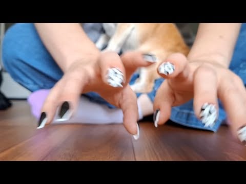 Fast and Aggressive Floor Tapping ASMR (no talking)