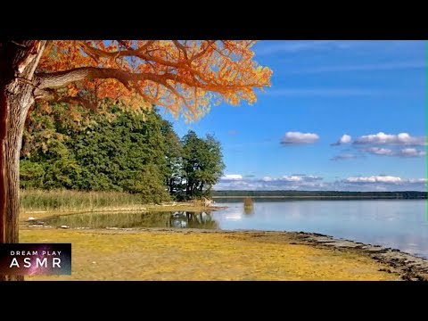 ★ASMR★ Entdecke mit mir einen geheimen Herbst Strand (no talking) | Dream Play ASMR