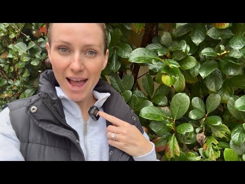 ASMR Walk Around My Neighbourhood 🌿 Relaxing Australian Nature Sounds