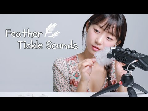 ASMR 😌Super Tingly FEATHERS✨ 잠이 솔솔.. 깃털소리