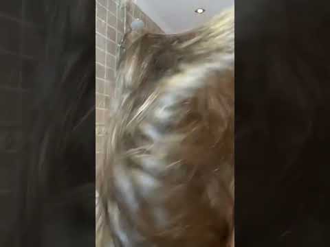 Hair drying with hairdryer #asmr #longhair #silkyhair #longhairasmr #hairplay