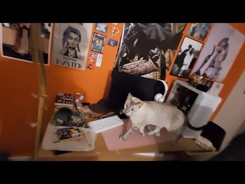 random kinda chaotic ASMR in my room (lofi)