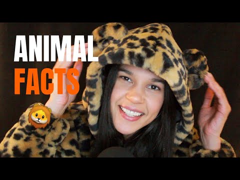 [ASMR] Random Facts About Animals | Whispered Reading & Gentle Candy Sounds