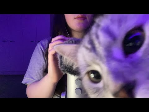 asmr mic scratching (kitty invasion)