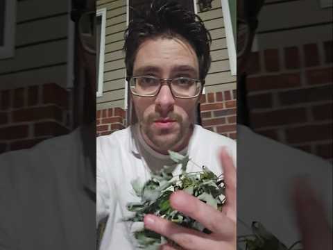 Satisfying ASMR Leaf Crinkling | Nature Sounds to Relax