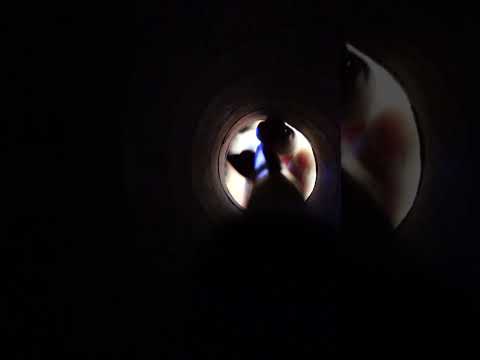 ASMR Pincel no cano