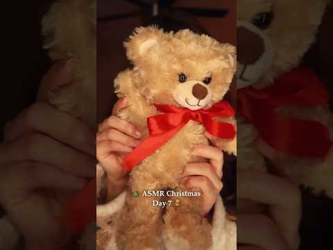 POV: You're going to a Christmas Festival! 🎄🧸✨ #asmr #asmrchristmas #asmrmakeup
