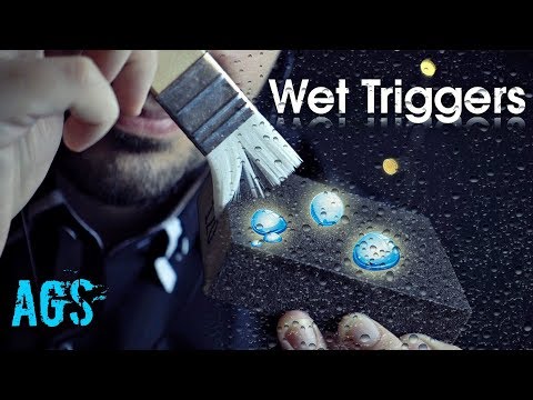 Wet ASMR Triggers (AGS)