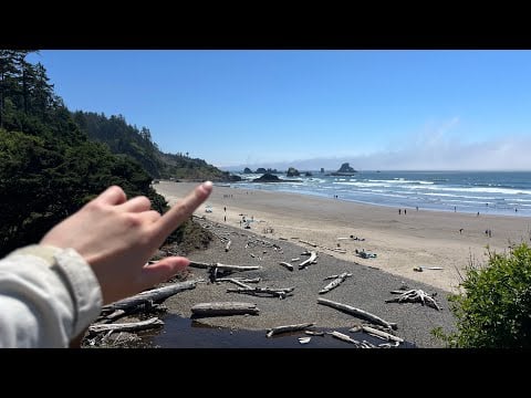 ASMR at Indian beach (The Twilight Beach) |Tide Pool and Plant Exploration 