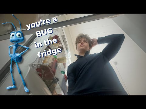 ASMR │ But, You're a Small Bug in My House🐛