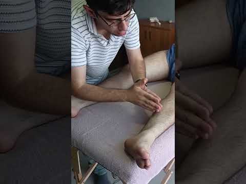 RELAXING METHODS FOR THE FRONT LEGS #satisfying #relaxing #asmr #shorts #massage