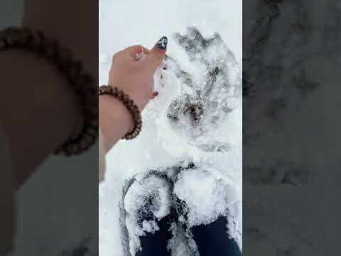 Snow ASMR