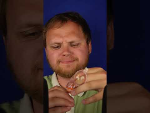 ASMR eating for the first time - eating an eye