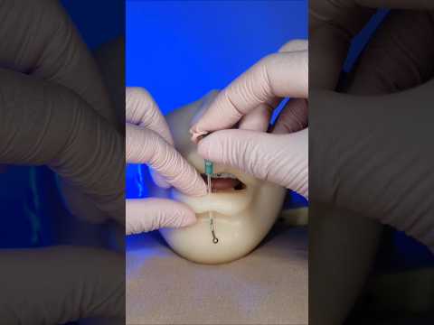 parte 7 | colocando piercing labret e septo #asmr #relax #satisfying #piercing