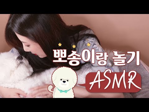 [ASMR]댕댕이랑 함께❤️비숑 프리제 ASMR｜Dog｜수면유도｜ASMR SOUND｜breathe Relaxing