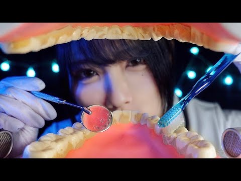 【ASMR】今すぐあなたの歯を掃除しましょう！🦷🪥(地声/ロールプレイ)